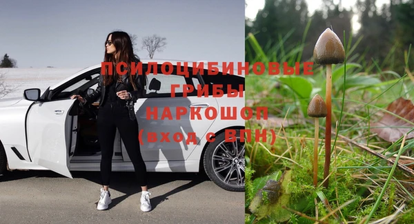 2c-b Абинск