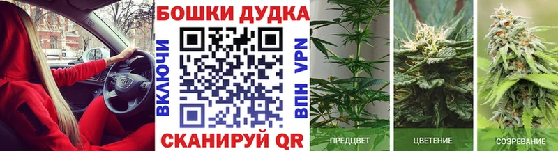 купить наркотики цена  Вологда  Бошки марихуана конопля 